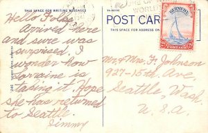 Royal Poinciana Tree Bermuda Postcard