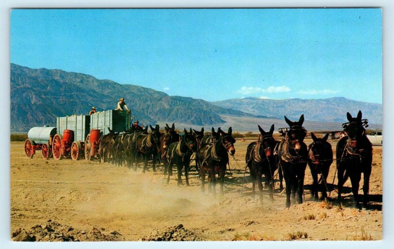 MOJAVE DESERT, CA ~ 20 MULE TEAM Outfit ORE WAGONS c1950s Mining Postcard