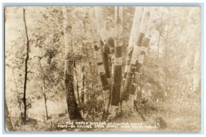 c1910s Seven Sisters Juiper Beach Collins Drug Store Hart MI RPPC Photo Postcard