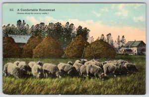 1920's SHEEP IN FIELD A COMFORTABLE HOMESTEAD ANTIQUE POSTCARD