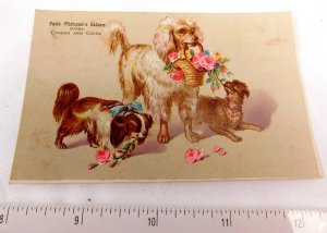 1870's-80's Faith Whitcomb's Balsam Anthropomorphic Cute Dogs Victorian Card F47