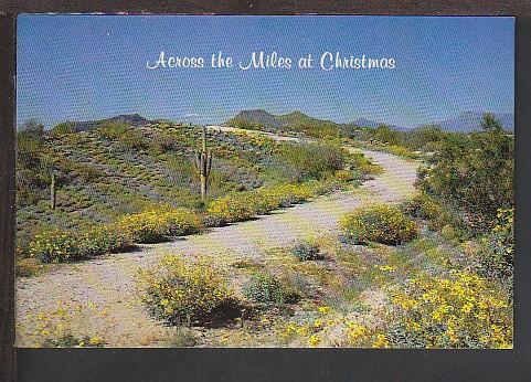 Christmas in AZ Postcard BIN 