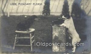 Camera 1906 postal used 1906