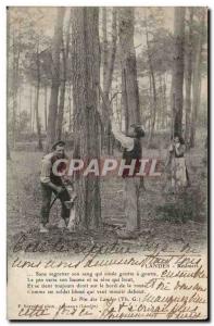 Old Postcard The Pine Landes Landes (resineurs)