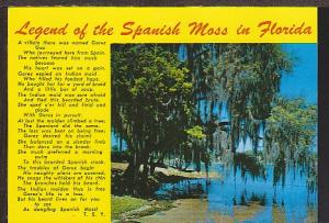 Spanish Moss in Florida Postcard BIN 1181