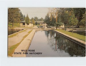 Postcard Wild Rose State Fish Hatchery, Wild Rose, Wisconsin