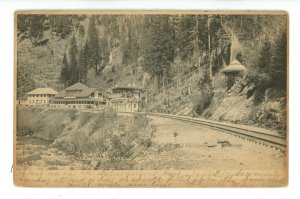 CA - Shasta Springs ca 1905