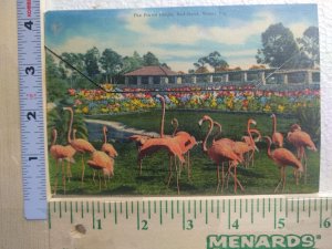 Postcard Folder The Parrot Jungle, Miami, Florida