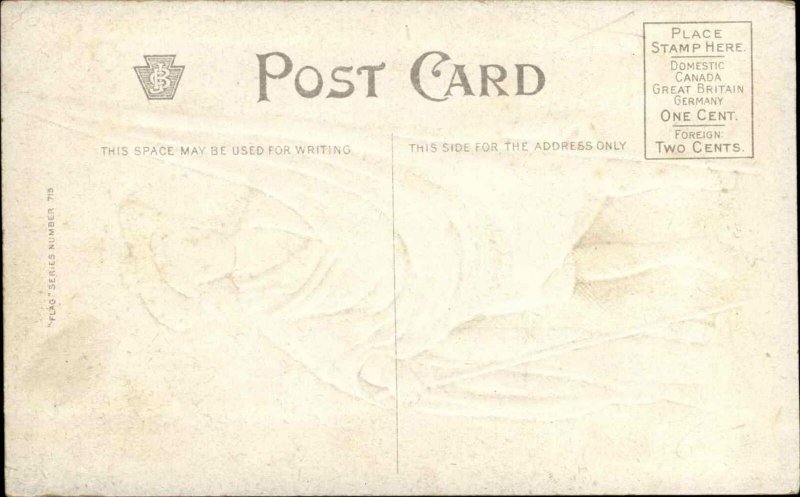 Young Boy Wrapped in American Flag EMBOSSED c1910 Postcard