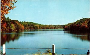 Forest Park Brook Springfield Massachusetts River Reflections Autumn Postcard 