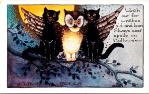 Vintage Whitney Anthropomorphic Owl, Black Cats, Tree & Moon Halloween Postcard