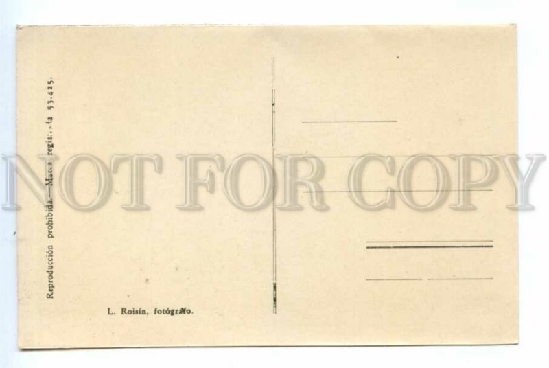 494925 SPAIN Alicante Provincial Council Vintage Roisin postcard