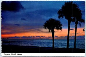 Postcard - Tropical Florida Sunset, USA