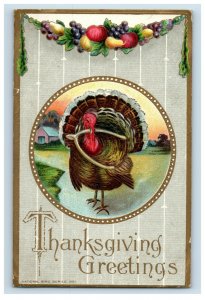 c.1910 Turkey National Bird Series Thanksgiving Wish Bone Vintage Postcard P51 