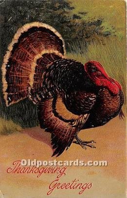 Artist PFB Thanksgiving Greetings 1908 