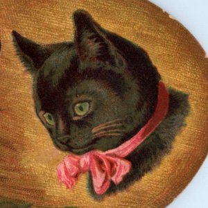1880s Die-Cut Mary A. Files Fancy Goods Cute Cats Shreveport, LA Lot Of 3 F164