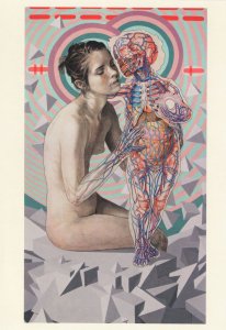 Friendly Skeleton Skull Risque 8x6 Anatomy Painting Postcard