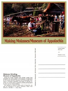 Making Molasses / Museum of Appalachia, Tennessee 8136