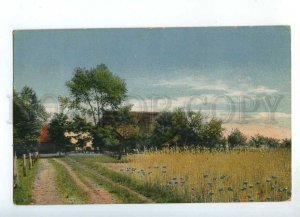 241275 GERMANY village view 1918 year Elberfeld RPPC