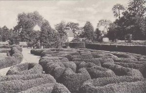 Virginia Mount Vernon Flower Garden And Boxwood Bordered Rose Beds Home Of Ge...