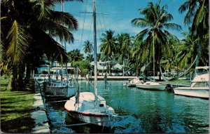 USA Beautiful Florida Waterways Chrome Postcard 09.73