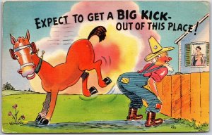 1948 Naughty Man Kicked By The Horse Out Of The Place Comic Posted Postcard