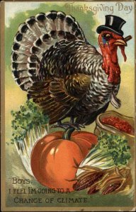 Tuck Comic Thanksgiving Turkey in Top Hat Smoking Cigar c1910 Postcard