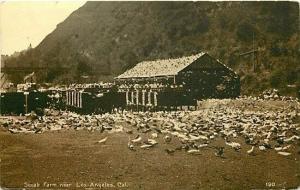 CA, Los Angeles, California, Pigion Farm, California Sales Company No. 190