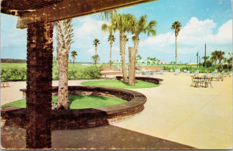 Sun City AZ Greek Theatre Palm Trees Unused Vintage Postcard G95