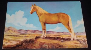 PC UNUSED - PALOMINO STALLION -REPRODUCTION OF OIL PAINTING BY VERN PARKER