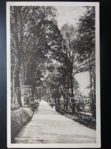 Somerset: Portishead, The Nove Road, Old PC - Pub By E.A. Jones of Portishead