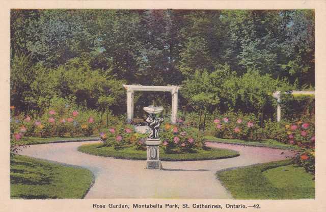 Rose Garden at Montabella Park - Saint Catherines, Ontario, Canada - WB