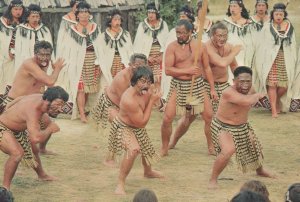 Rotorua Whakarewarewa Maori Warriors Haka Chant New Zealand Postcard