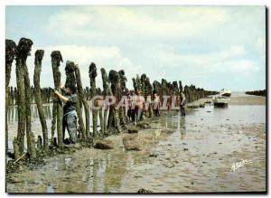 Old Postcard The boucholeurs has Boyardville Ile d & # 39Oleron oyster farming