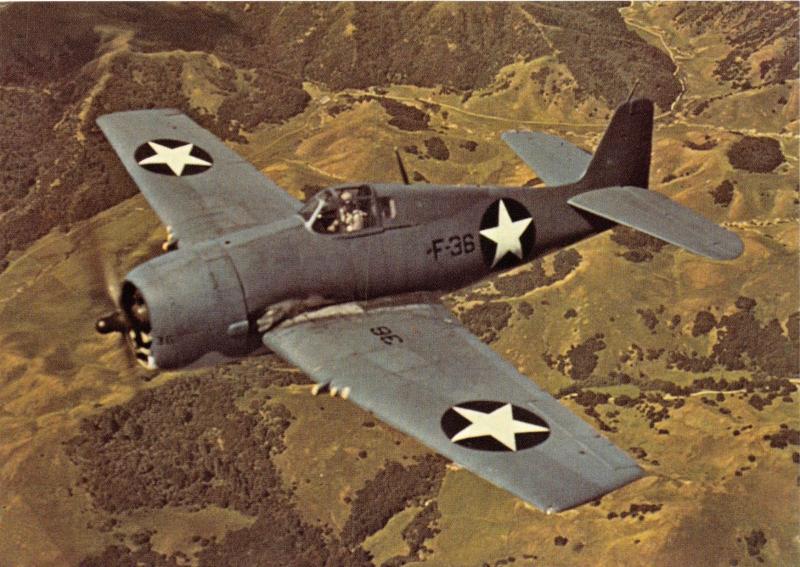 GRUMMAN F6F-3 HELLCAT~SINGLE SEAT CARRIER FIGHTER MILITARY AIRCRAFT POSTCARD