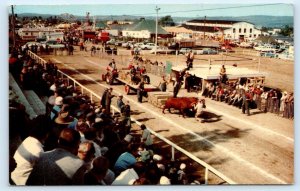 BRIDGEWATER, Nova Scotia Canada ~ Farming LUNENBURG COUNTY EXHIBITION Postcard