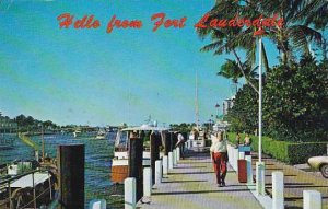 Florida Fort Louderdale Docks At Bahia Mar Marina Along The Inland Waterway 1979