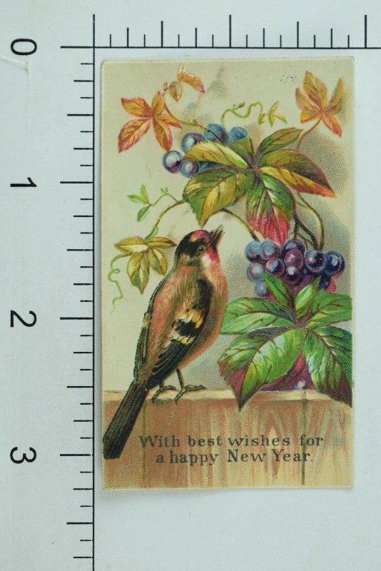 1870's-80's Embossed Victorian Holiday Trade Card Berries Colorful Wild Bird P82