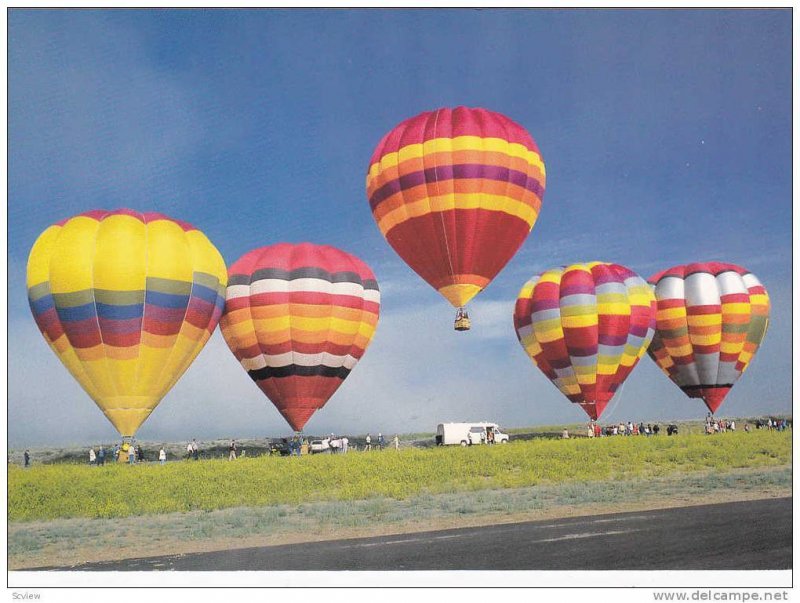 Five colorful Hot Air Balloons, Albuquerque, New Mexico,  40-60s