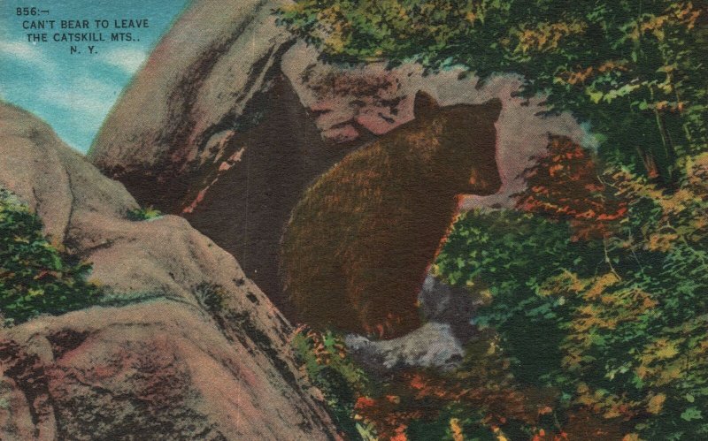 Vintage Postcard Black Bear Rocks Trees Catskill Mountains New York George Pub. 