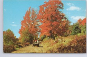 Autumn, Fall Colours, Horse & Cart, Rural Scene, Canada, Vintage Chrome Postcard