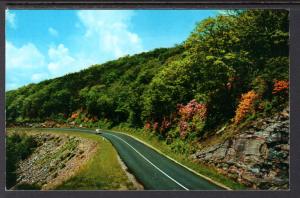 Springtime,Blue Ridge Parkway