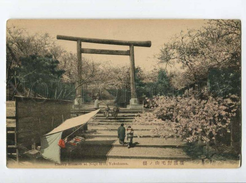 3073065 JAPAN Cherry Blossom at Noge Hill Yokohama Vintage PC