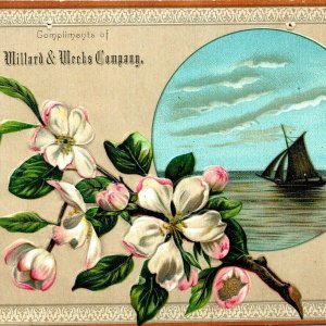 c1880s Oskaloosa Iowa Willard & Weeks Dry Goods Large Trade Card Sailboat IA C40