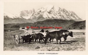 Spain, RPPC, Paisaje Cordillerano, Oxen Drawn Wagon in the Mountains