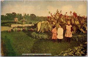 Rochester Minnesota MN, 1910 Mayo Park, Fountain, Flowers & Pavilion, Postcard