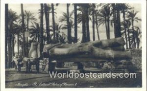 Real Photo - Colossal Statue of Ramses Memphis Eqypt Unused 