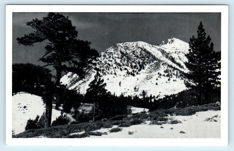 LAKE TAHOE, NV Nevada ~  MT ROSE Snow Scene c1950s Bundy Postcard