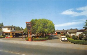 PELISSIER MOTEL Santa Rosa, California Mendocino Avenue Roadside Postcard c1950s