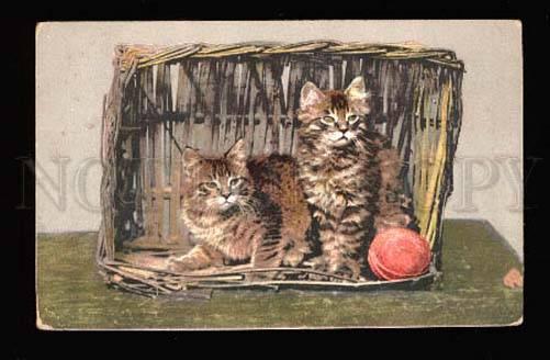 002831 Two KITTENS w/ ball in basket Vintage Photo color PC